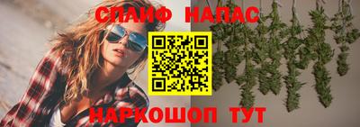 стаф Донской