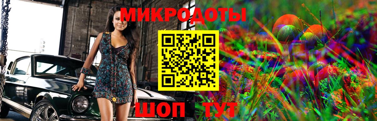 Малоярославец  Галлюциногенные грибы ЛСД  Вход с VPN 